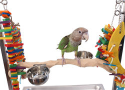 Medium Perch for Medium Stainless Steel Parrot Play Stand