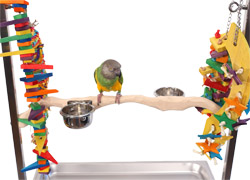 Small Perch for Medium Stainless Steel Parrot Play Stand