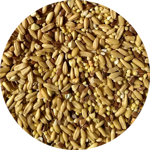 Tops Napoleon Seed Mix for Parakeets and Cockatiels