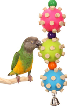 Triple Cork Orb Small Parrot Toy with Senegal Parrot