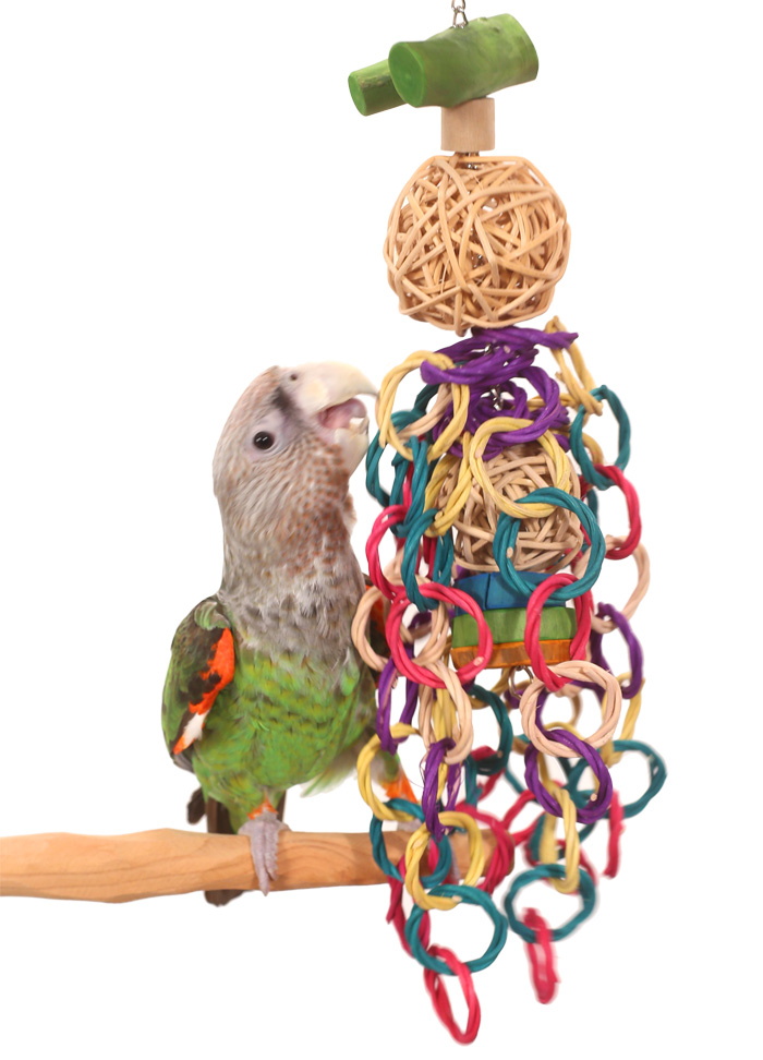 Tropical Cascade Medium Size Parrot Toy with Cape Parrot