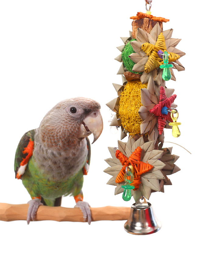 Tropical Corsage Medium Parrot Toy with Cape Parrot