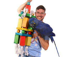 Hyacinth Macaw with Tropical Mammoth XXL Toy