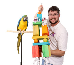 Blue and Gold Macaw with Tropical Mammoth XXL Parrot Toy