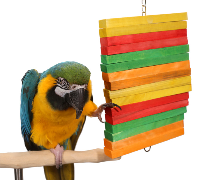 Tropical Rainbow Large Parrot Toy with Blue and Gold Macaw