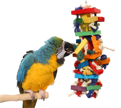 Blue and Gold Macaw playing with Tropical Stack Large Parrot Toy