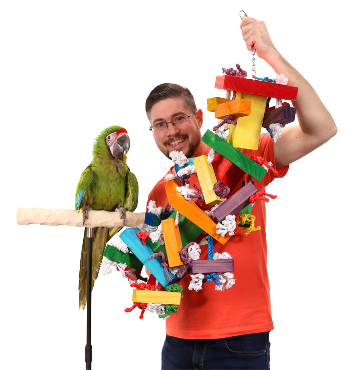 Great Green Macaw with Tropical Stack XXL Parrot Toy