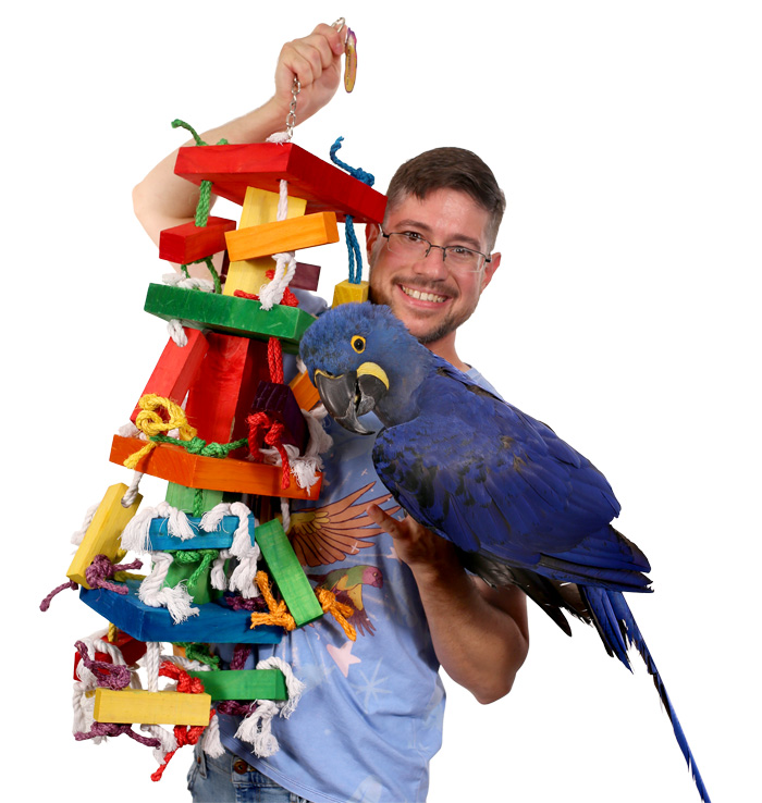 Hyacinth Macaw with Tropical Stack XXL Toy