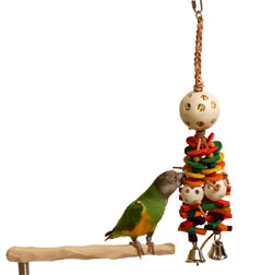 Tropical Thunder Toy with Senegal Parrot