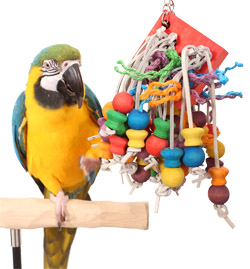 Blue and Gold Macaw playing with Tropical Willow Large Parrot Toy
