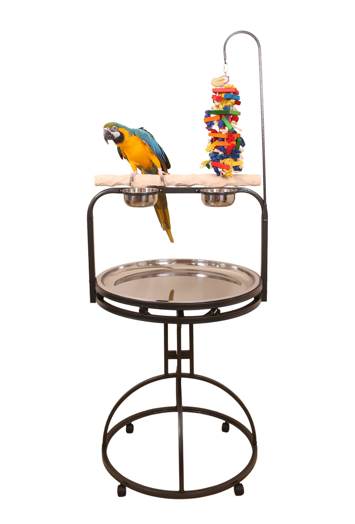 Black XL Hardwood NU Perch Parrot Playstand - Black Powder Coat Finish