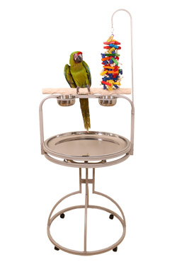 Great Green Macaw on XL Hardwood NU Perch Parrot Playstand