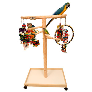 Parrot Wizard Tree Stands