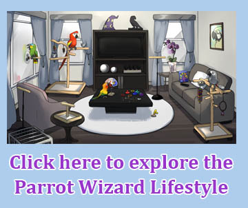 Parrot Wizard - Parrot Rope Triangle Swing for Cage